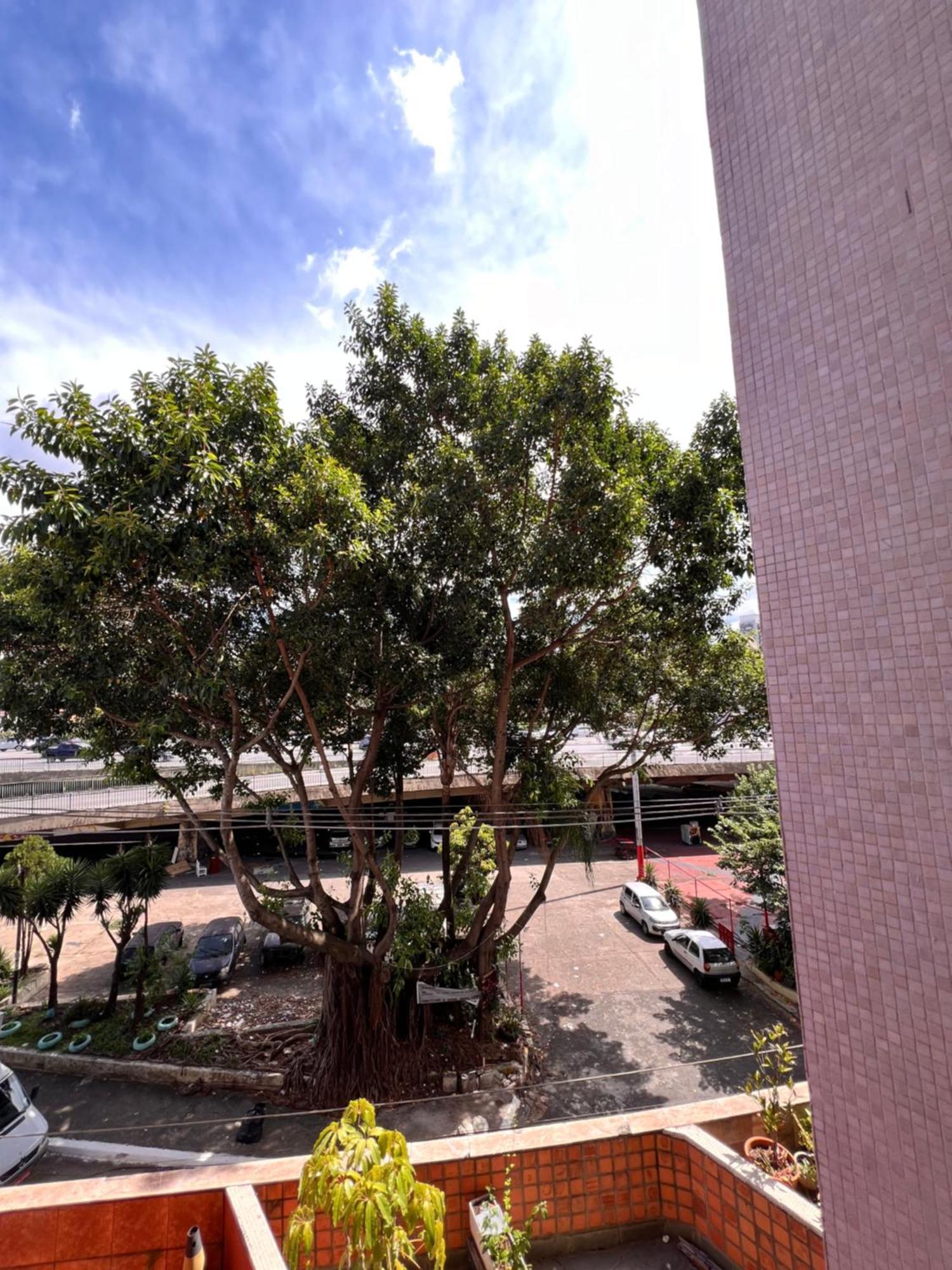 Lindo Bela Vista Sp Apartamento São Paulo